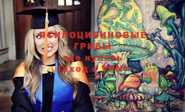 а пвп мука Наволоки