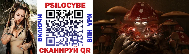 Купить где  Назрань  Псилоцибиновые грибы MAGIC MUSHROOMS 